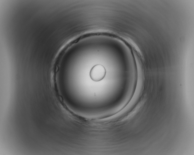 X0000114190781200910091231