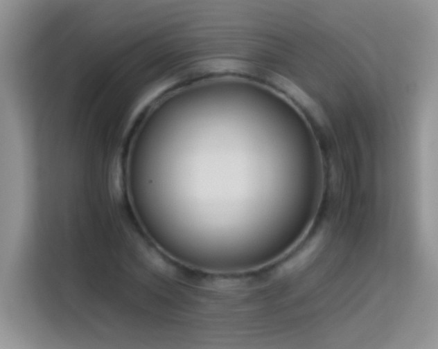X0000114190782200910091231