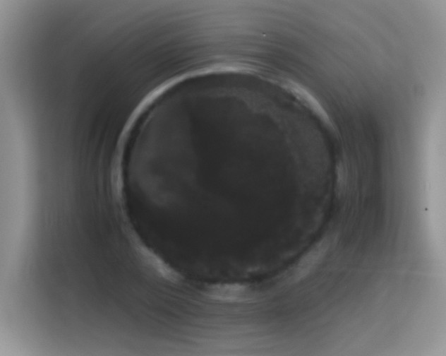 X0000114190784200910091231