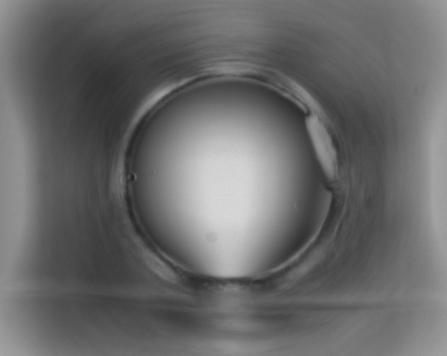 X0000114190787200910091231