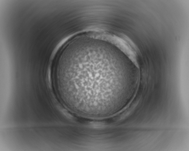 X0000114190788200910091231