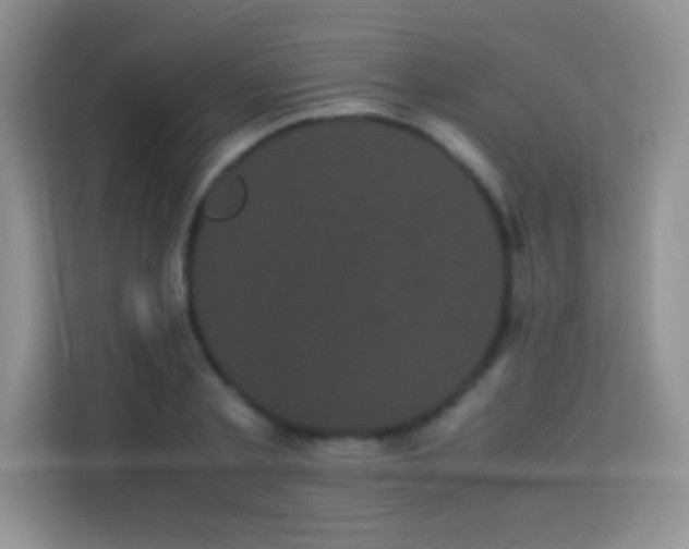 X0000114190789200910091231