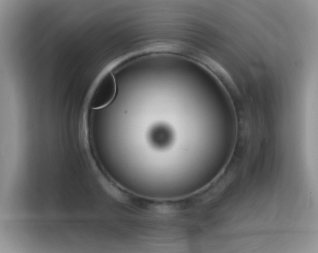 X0000114190792200910091231