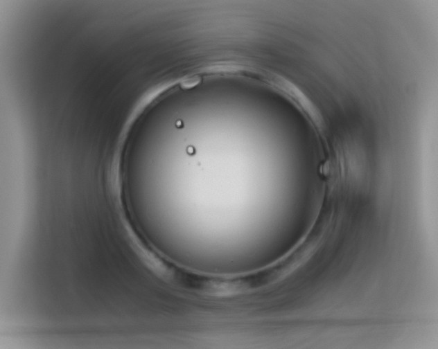 X0000114190795200910091231