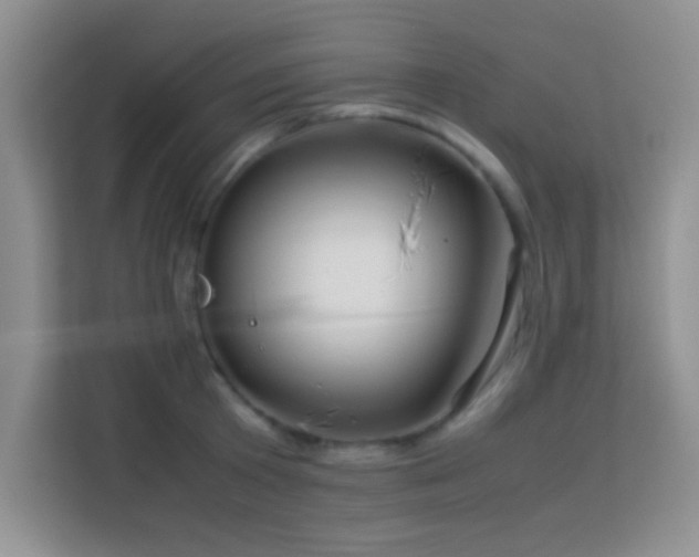 X0000114190801200910091231