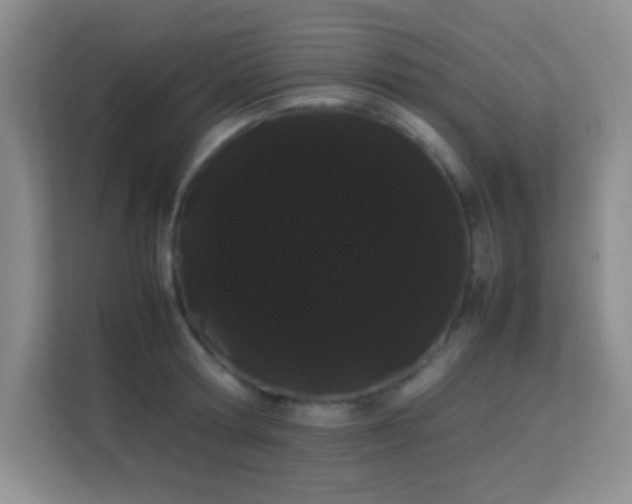X0000114190802200910091231