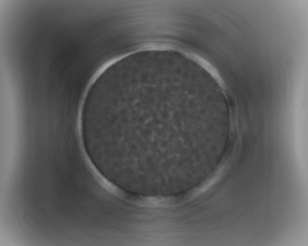 X0000114190803200910091231