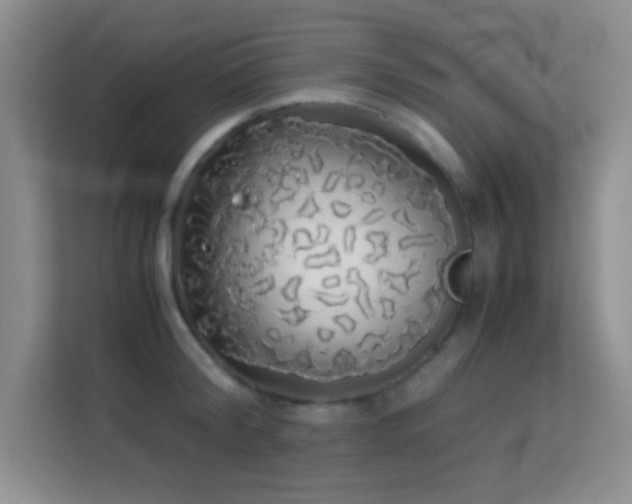 X0000114190804200910091231