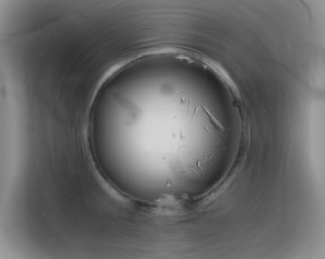 X0000114190805200910091231