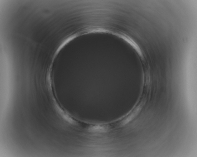 X0000114190806200910091231