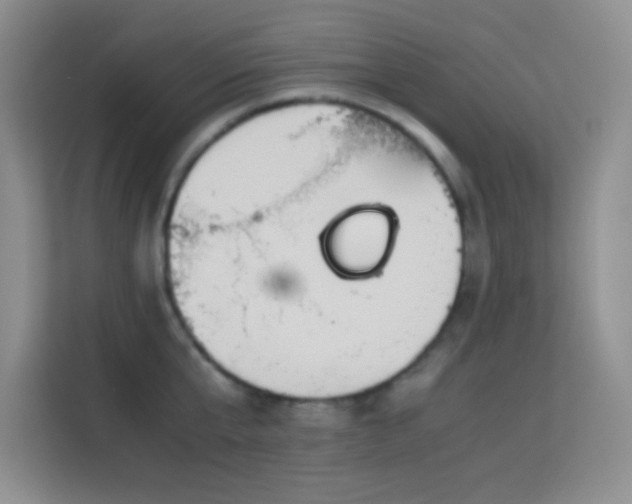 X0000114190807200910091231