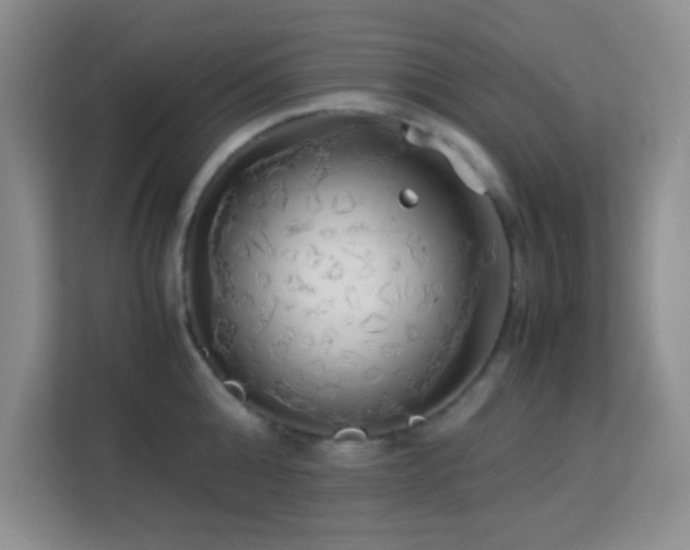 X0000114190808200910091231