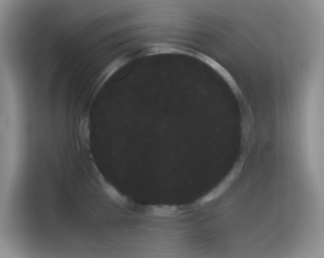 X0000114190809200910091231