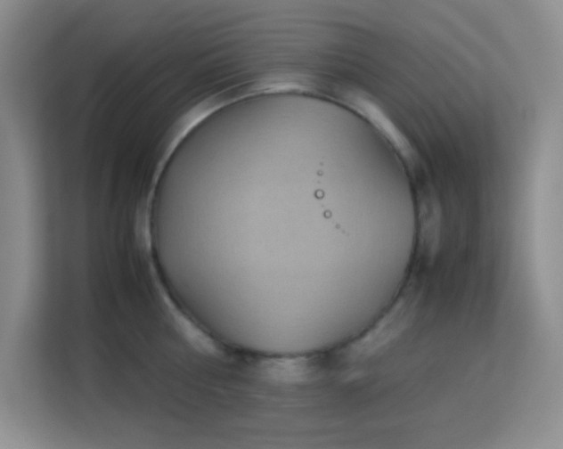 X0000114190810200910091231