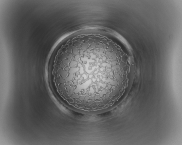 X0000114190811200910091231