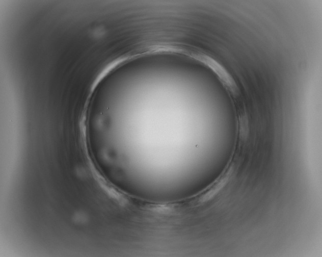 X0000114190814200910091231