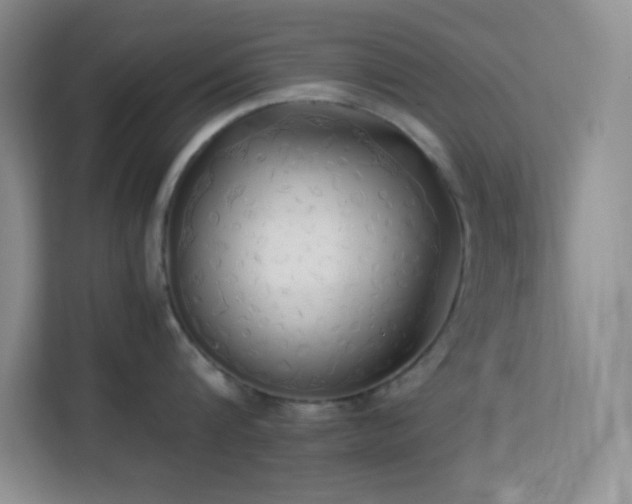 X0000114190816200910091231