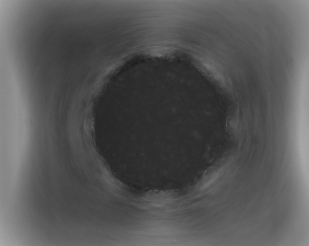 X0000114190817200910091230