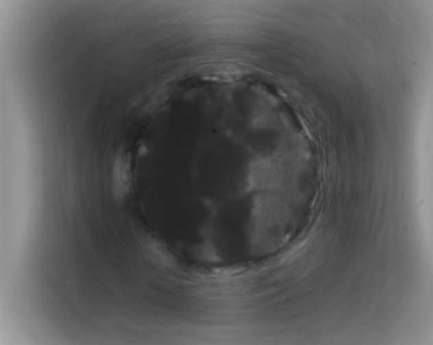 X0000114190818200910091230