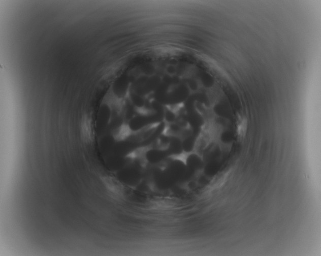 X0000114190819200910091230