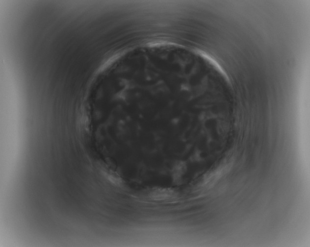X0000114190823200910091230