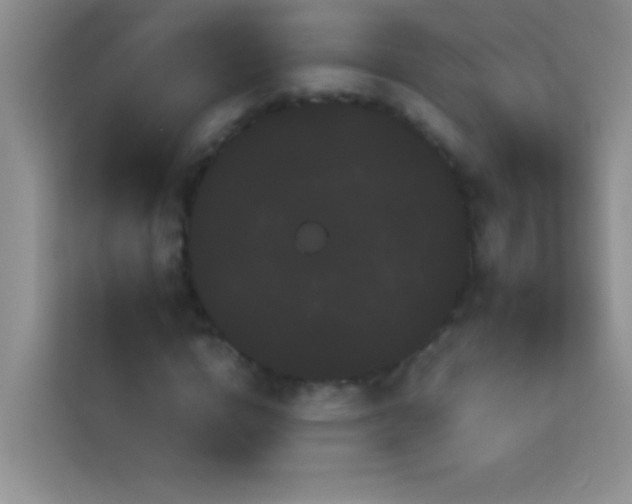 X0000114190824200910091230