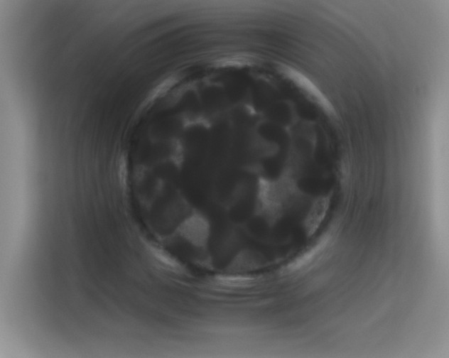X0000114190825200910091230