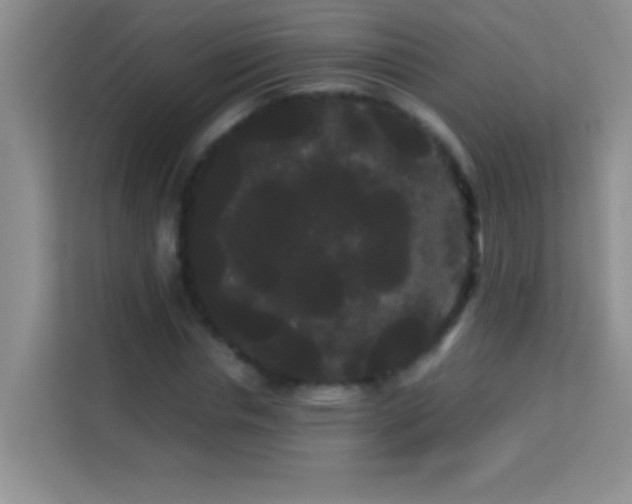 X0000114190826200910091230