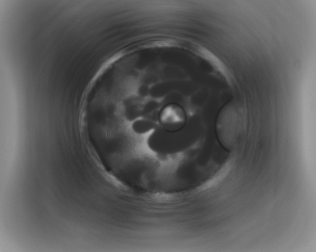 X0000114190827200910091230