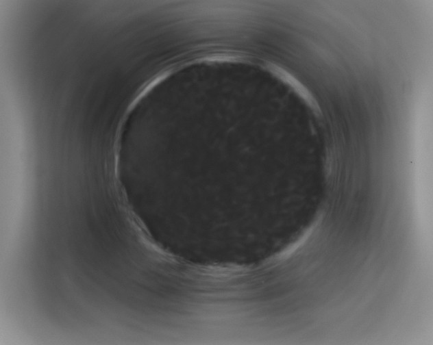 X0000114190829200910091230