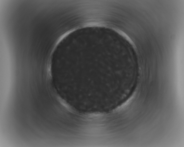 X0000114190830200910091230