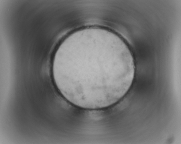 X0000114190832200910091230