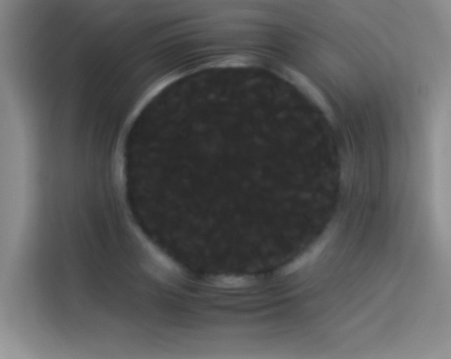 X0000114190835200910091230