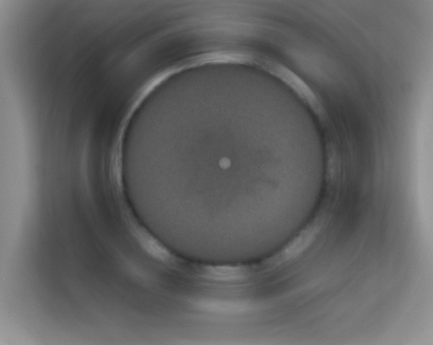 X0000114190836200910091230