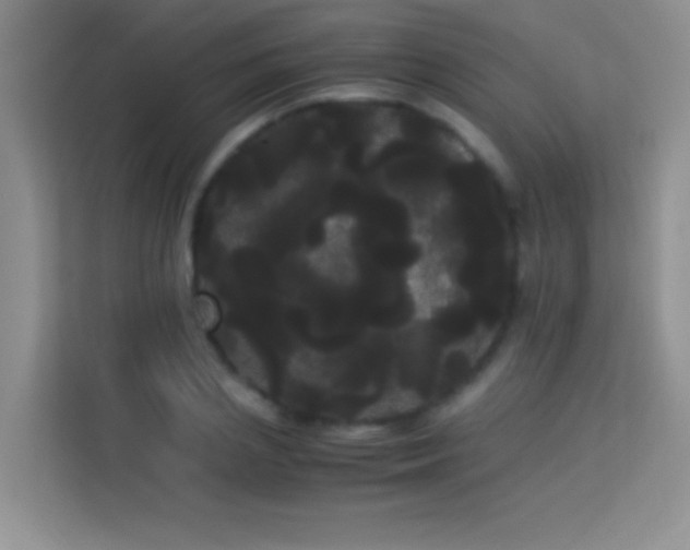 X0000114190837200910091230