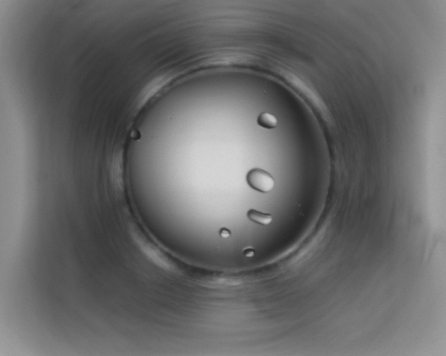 X0000114190842200910091230