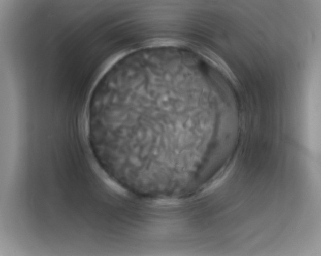 X0000114190844200910091230