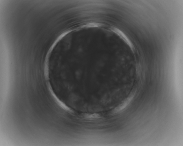 X0000114190851200910091231