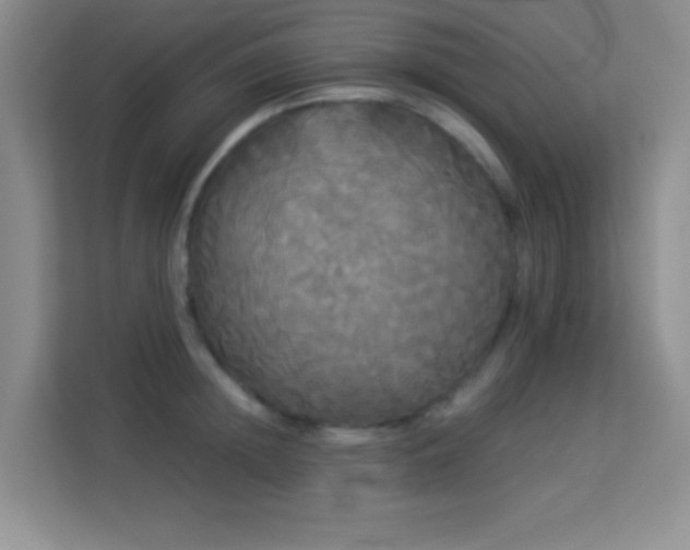 X0000114190852200910091231