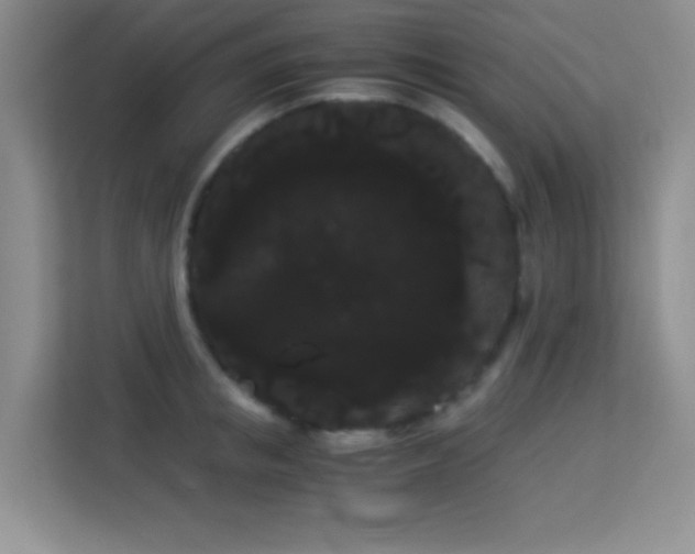 X0000114190853200910091231