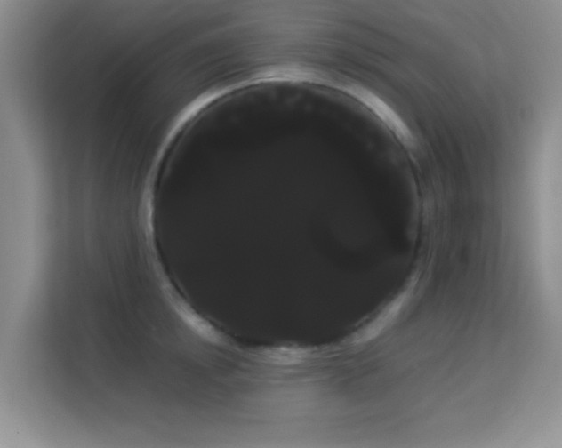 X0000114190854200910091231