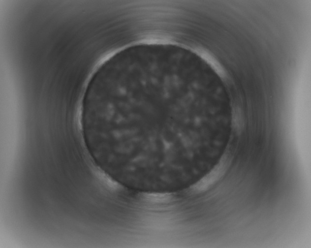 X0000114190856200910091231