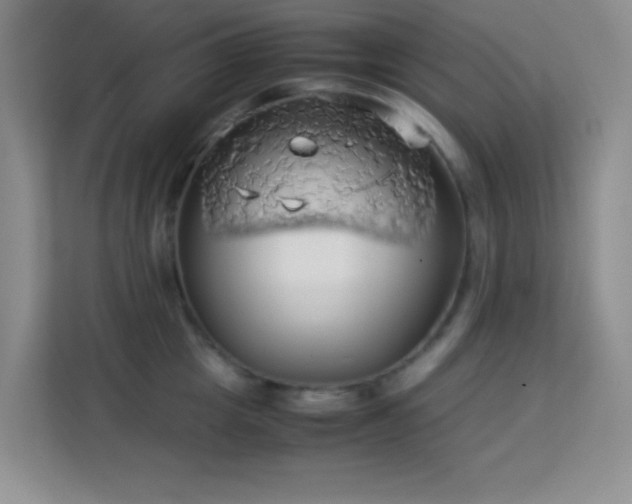 X0000114190857200910091231