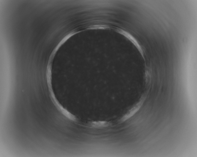 X0000114190859200910091231