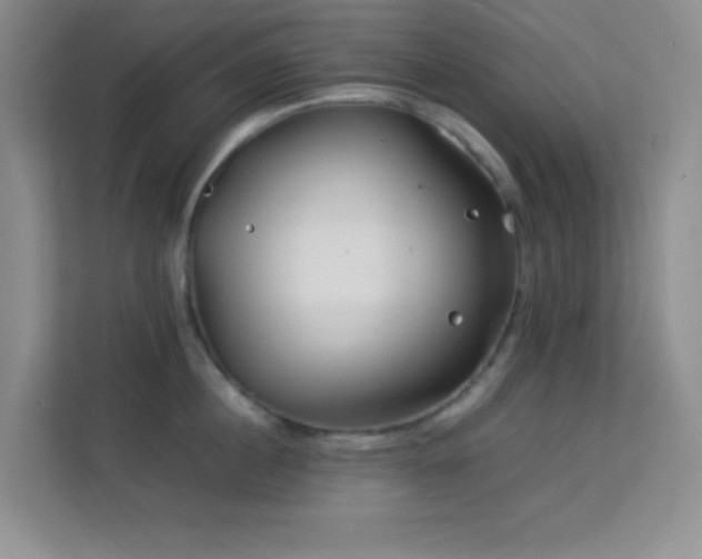 X0000114190860200910091231