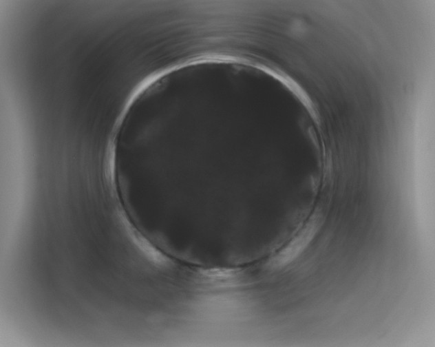 X0000114190862200910091231