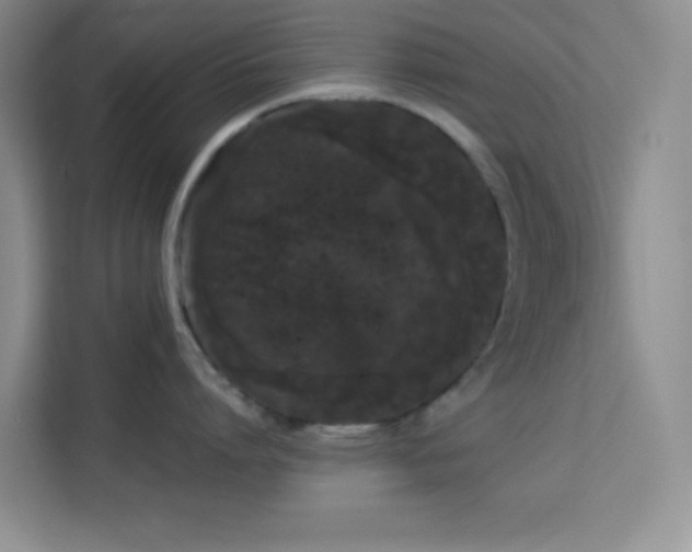 X0000114190864200910091231