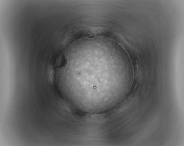 X0000114190866200910091230