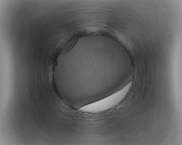 X0000114190868200910091230