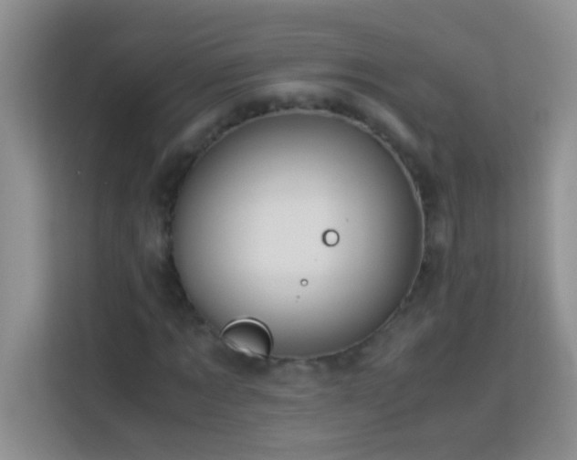X0000114190869200910091230